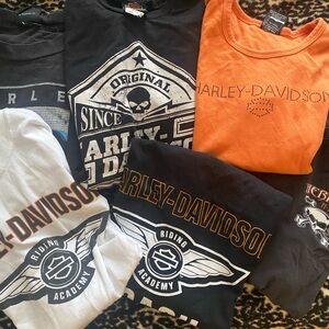 Harley-Davidson T-Shirt Assortment in Black, Orange, and White